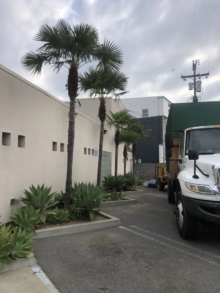 Affordable lawn care service for homes in Hawthorne, CA by California Tree specialists