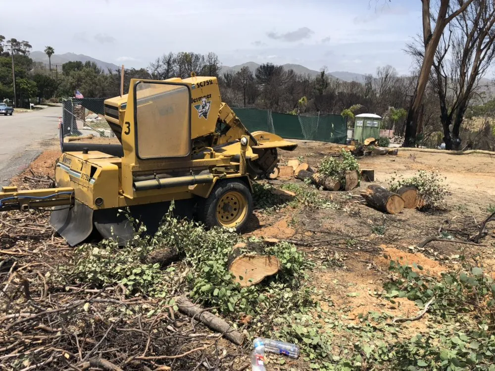 Custom landscape design for year-round maintenance in Hawthorne, CA by California Tree specialists