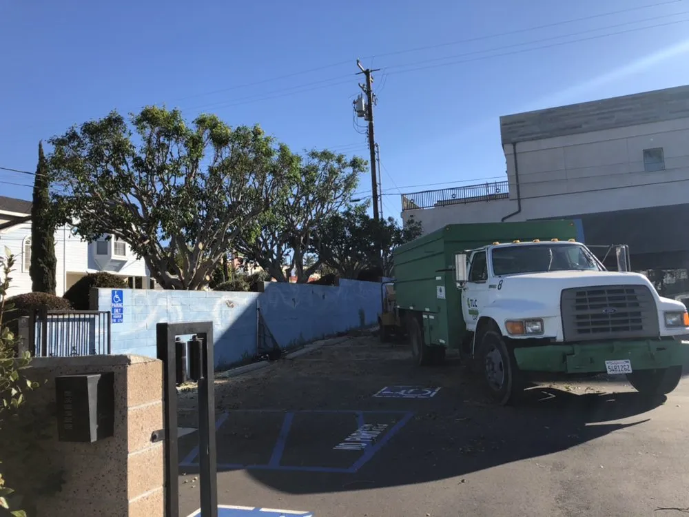 Top-rated lawn care service in Hawthorne, CA - California Tree specialists