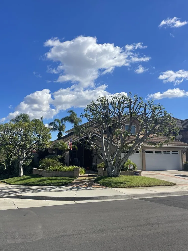 Affordable residential landscaping in Los Angeles, CA by California Tree Surgeon