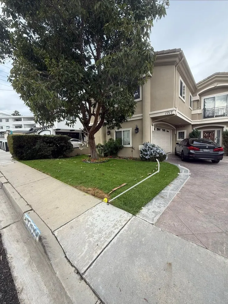 Trusted yard cleanup service in Orange, CA by California Turf & Putting Greens