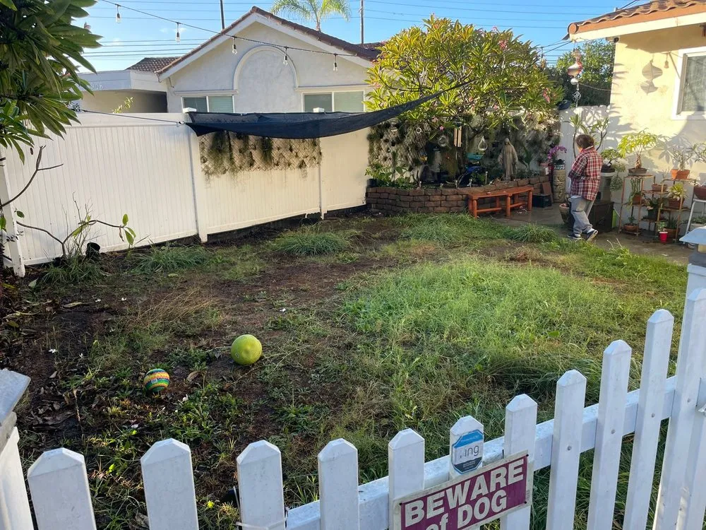 Custom lawn mowing service for beautiful yards across Orange, CA - California Turf & Putting Greens