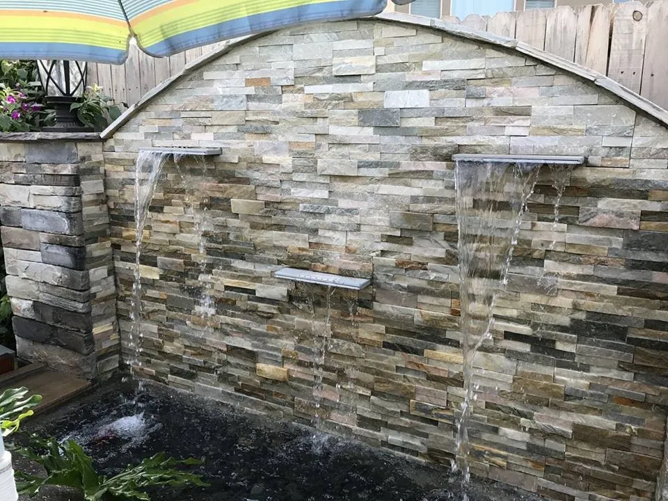 Reliable landscaping services for beautiful yards in Clovis, CA by California Turf and Landscaping