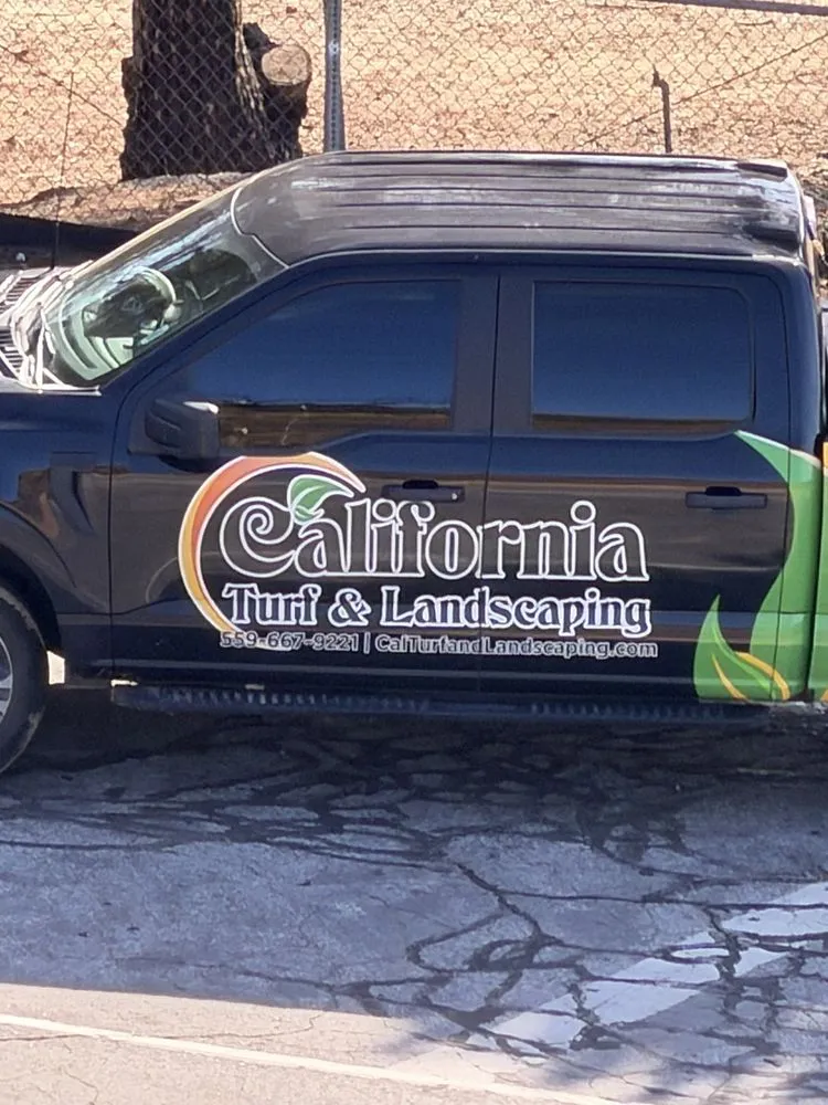 Reliable yard cleanup service for homes in Clovis, CA by California Turf and Landscaping