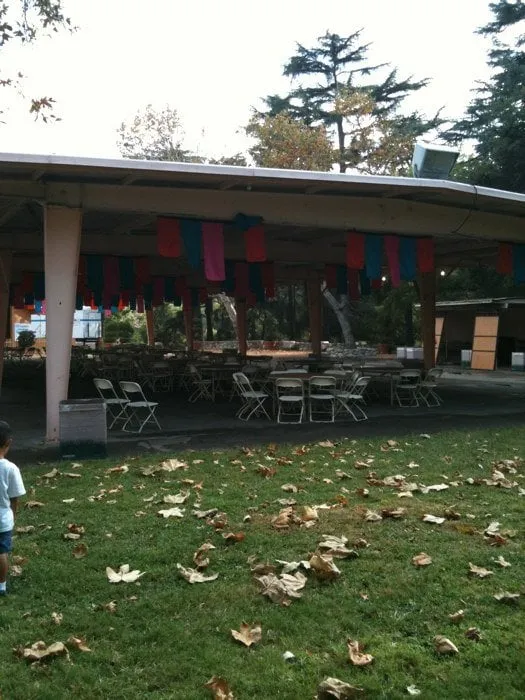 Expert residential landscaping for year-round maintenance in Clovis, CA by California Turf and Landscaping