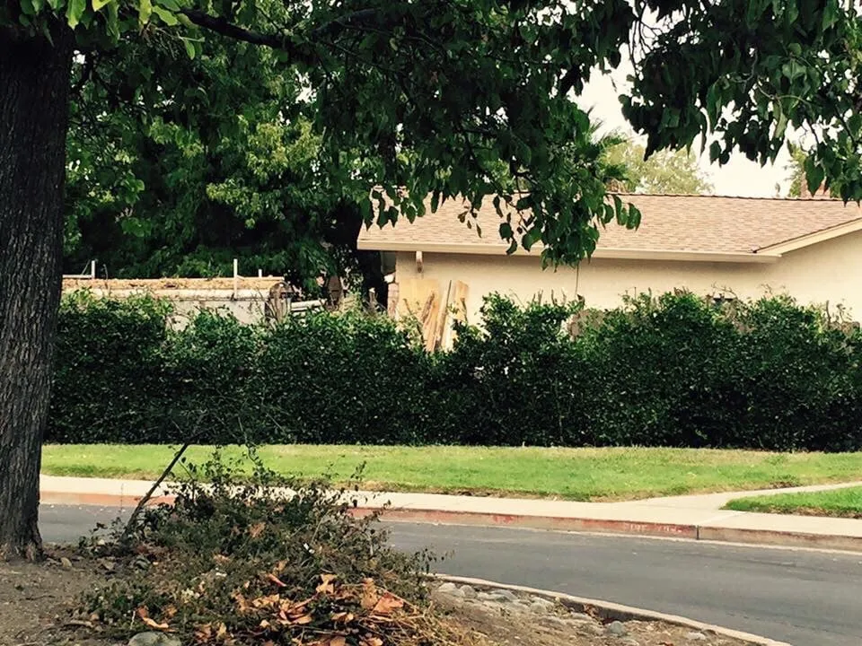 Professional outdoor landscaping experts serving Vacaville, CA - California Valley Landscape