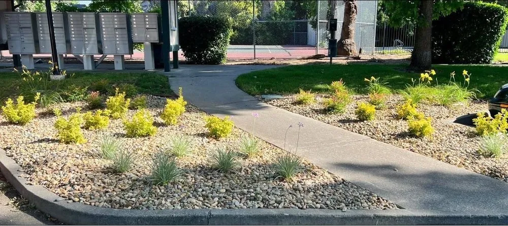 Top-rated landscaping services in Vacaville, CA by California Valley Landscape