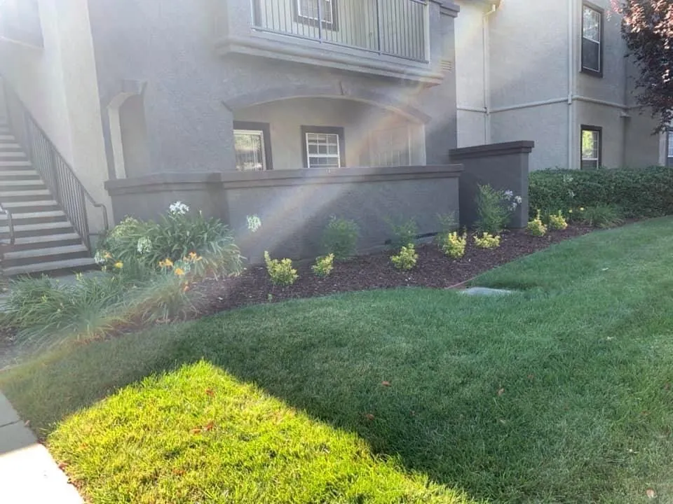 Reliable landscape design experts serving Vacaville, CA - California Valley Landscape