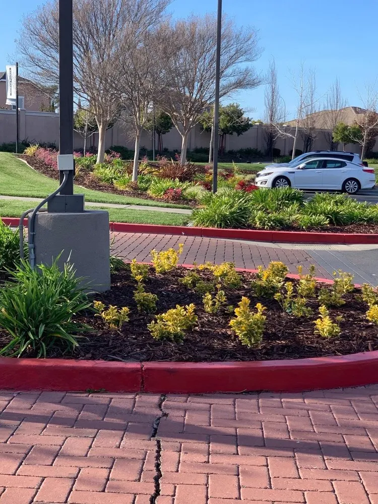Trusted garden landscaping experts serving Vacaville, CA - California Valley Landscape