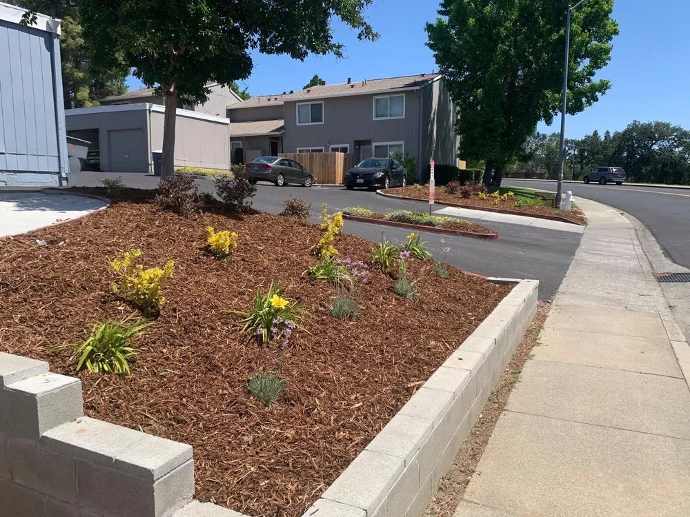 Reliable landscaping services for beautiful yards in Vacaville, CA by California Valley Landscape