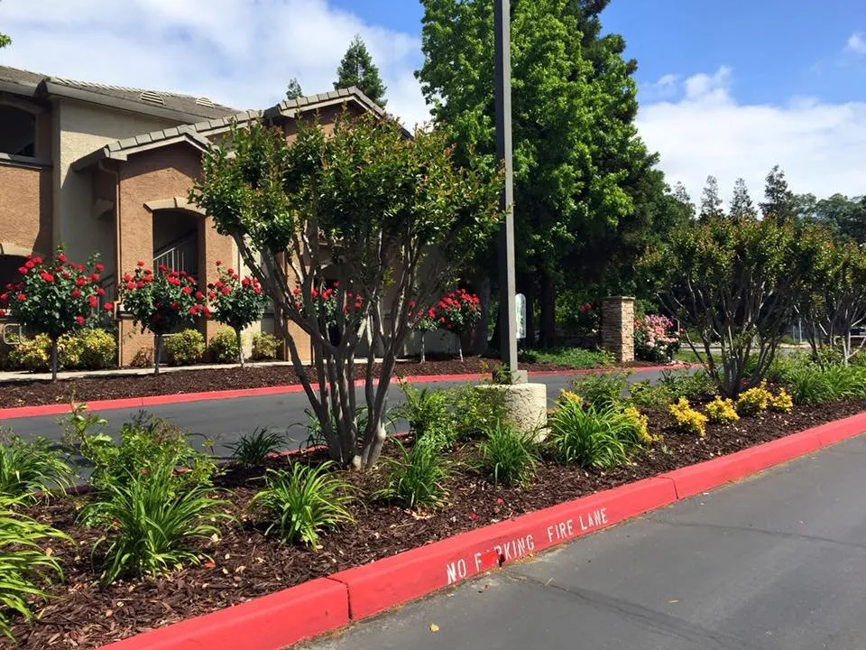 Trusted lawn mowing service for residential properties across Vacaville, CA - California Valley Landscape