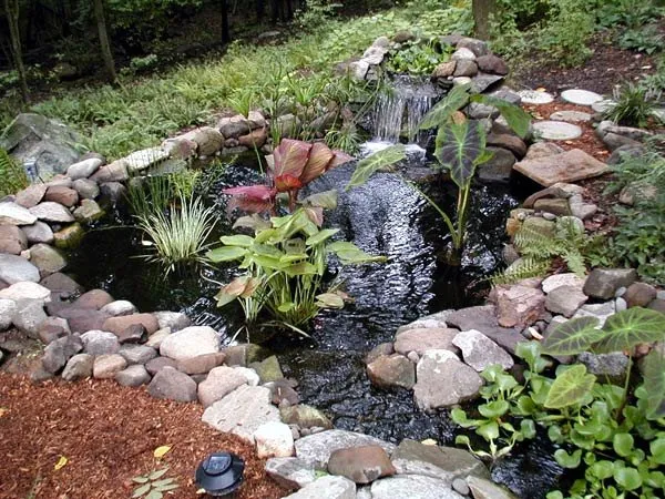 Affordable landscape design experts serving Newburgh, NY - California Water Gardens