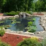 Affordable lawn care service for beautiful yards in Newburgh, NY by California Water Gardens