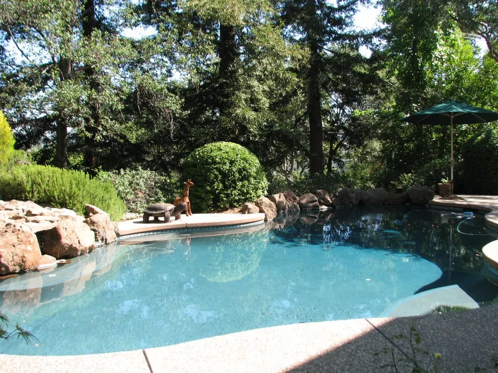 Affordable landscape design experts serving El Dorado Hills, CA - California Yard Pro