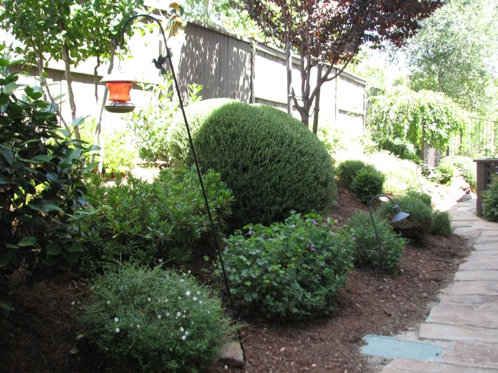 Local garden landscaping in El Dorado Hills, CA - California Yard Pro