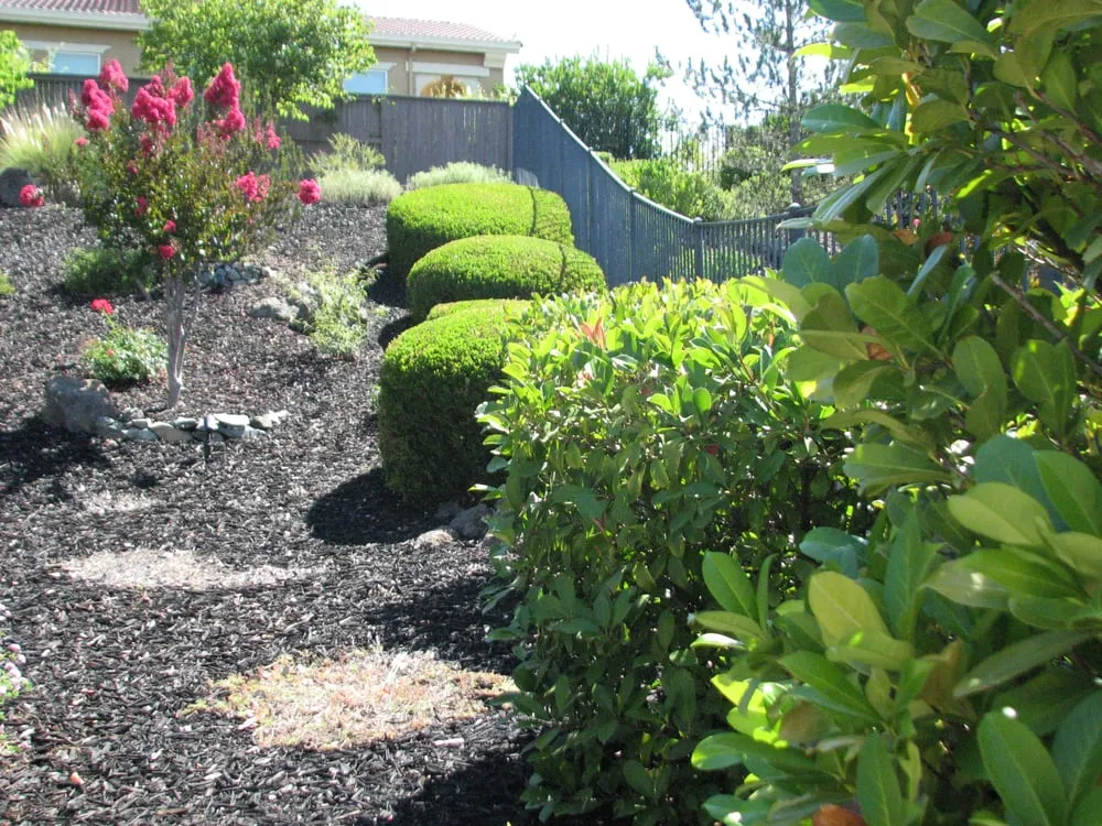 Professional landscape installation experts serving El Dorado Hills, CA - California Yard Pro