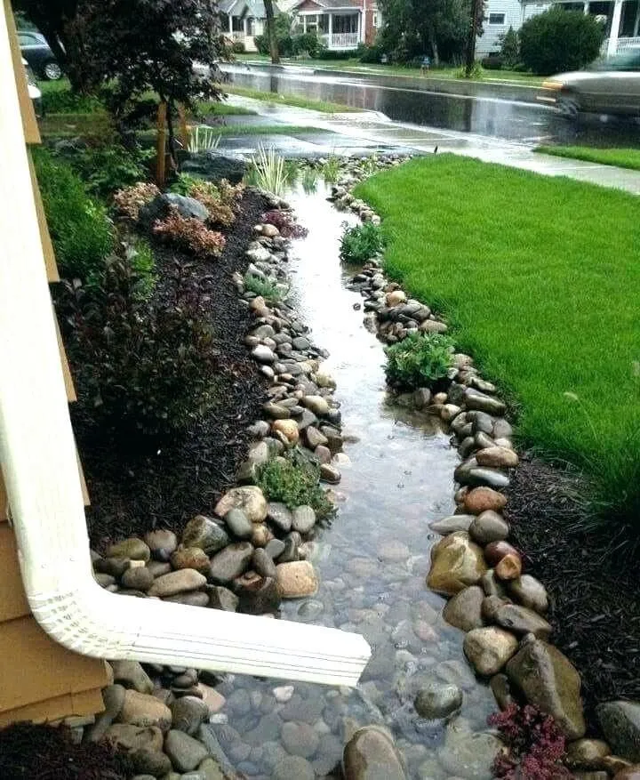 Local yard maintenance experts serving Orange, CA - Caliland Landscaping