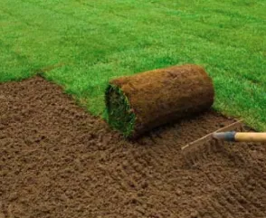 Expert garden landscaping in Orange, CA - Caliland Landscaping