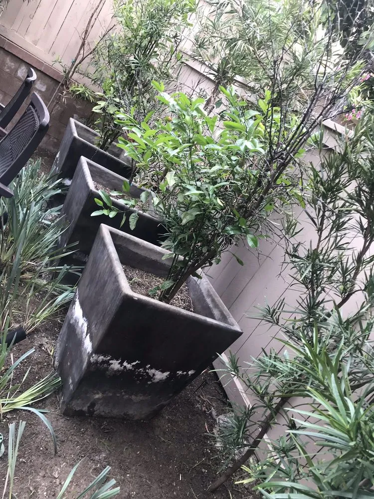 Expert landscape installation for beautiful yards in Orange, CA by Caliland Landscaping