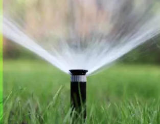 Reliable landscape installation for homes across Orange, CA - Caliland Landscaping