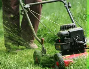 Affordable yard maintenance for homes in Orange, CA by Caliland Landscaping