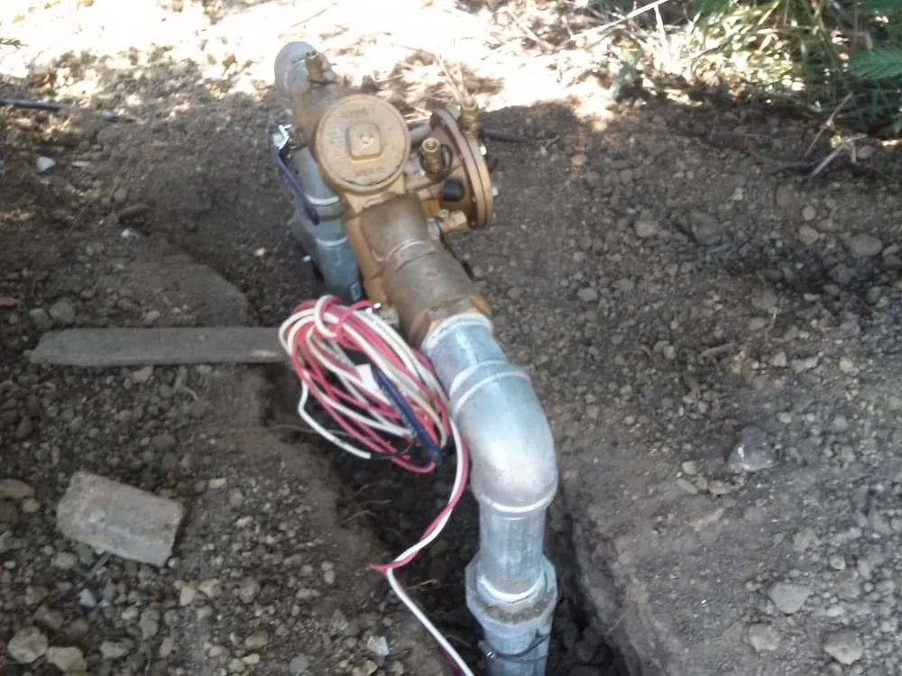 Affordable landscaping services with custom design in San Mateo, CA by Calinitelites