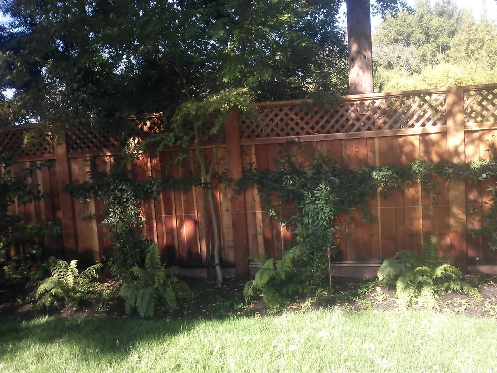 Top-rated residential landscaping for beautiful yards in San Mateo, CA by Calinitelites