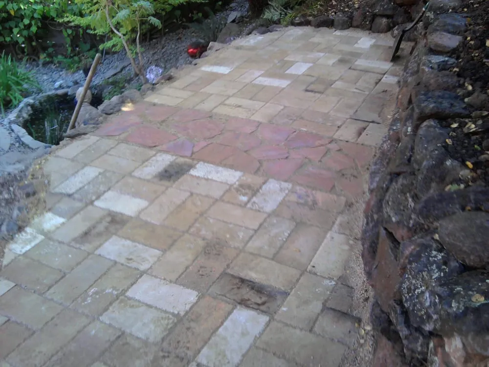 Affordable lawn mowing service in San Mateo, CA by Calinitelites