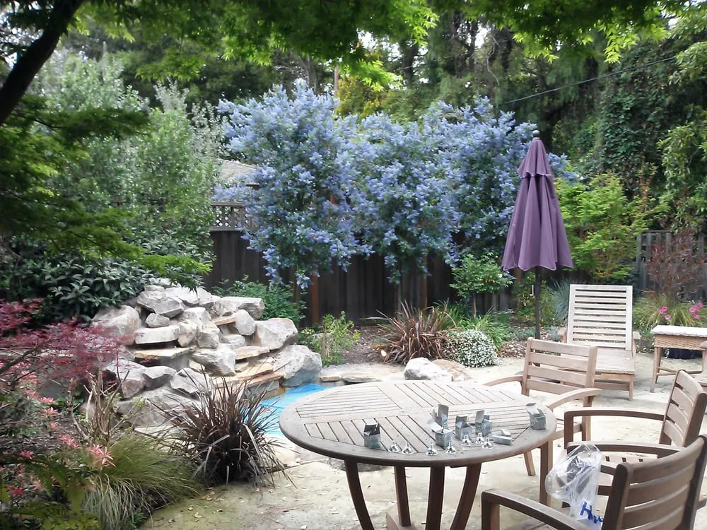 Top-rated yard maintenance in San Mateo, CA - Calinitelites