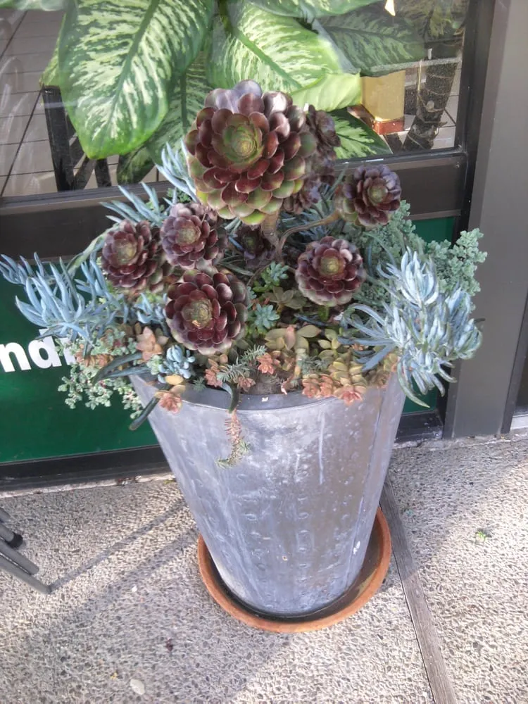 Expert garden landscaping for residential properties across San Mateo, CA - Calinitelites