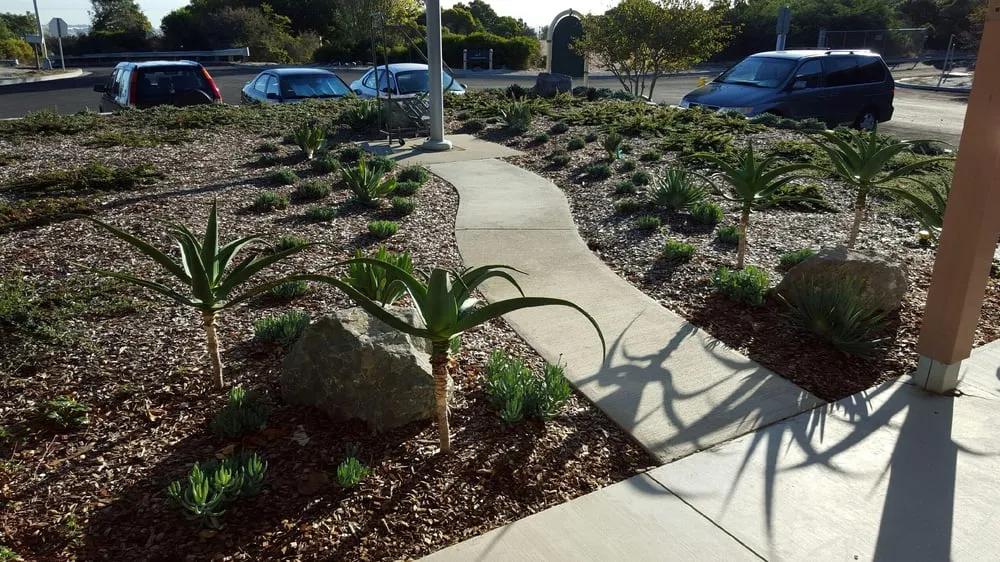 Trusted outdoor landscaping in San Mateo, CA by Calinitelites