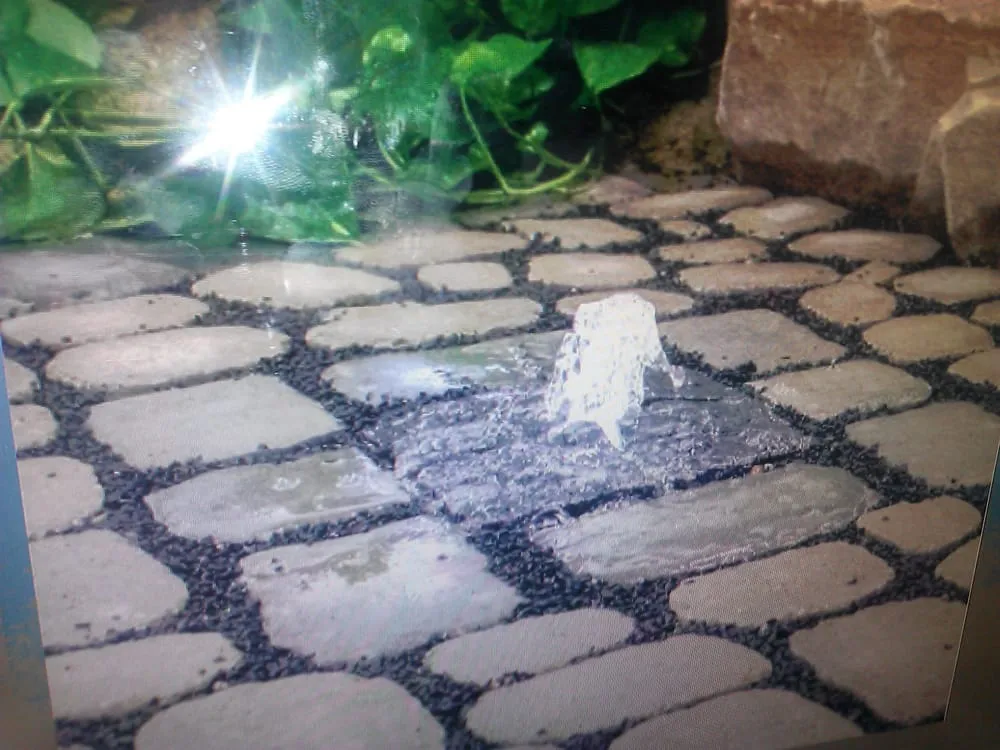 Expert yard cleanup service in San Mateo, CA - Calinitelites