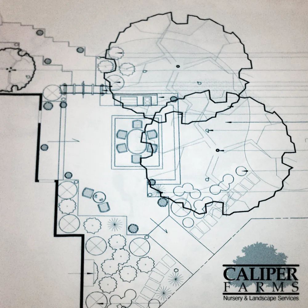 Expert landscape design in Belle Mead, NJ - Caliper Farms Nursery and Landscape Services