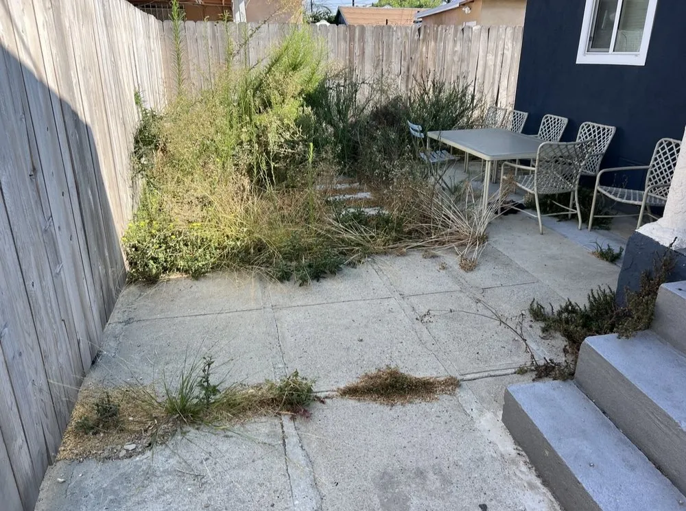 Trusted yard maintenance in Los Angeles, CA by Calipkg