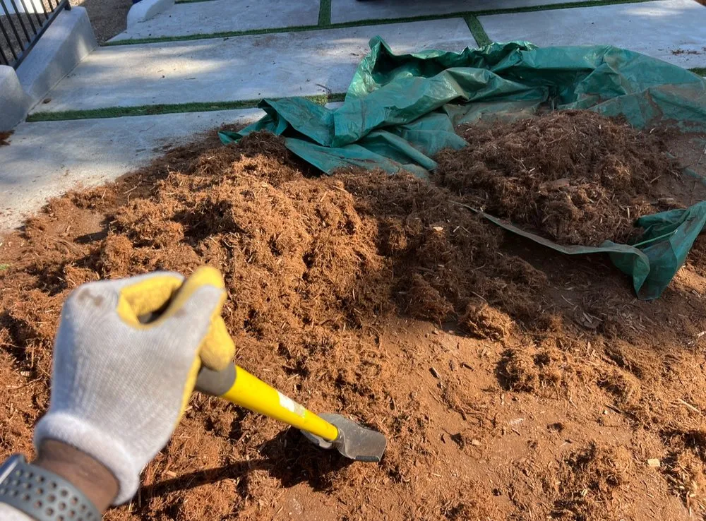 Local lawn mowing service for year-round maintenance in Los Angeles, CA by Calipkg