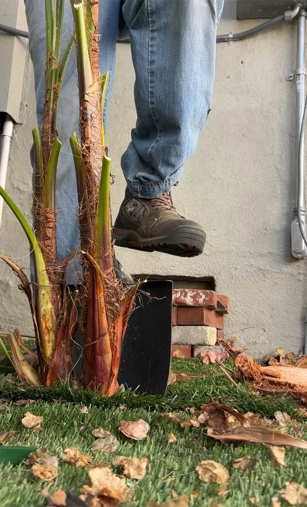 Trusted lawn care service for beautiful yards across Los Angeles, CA - Calipkg