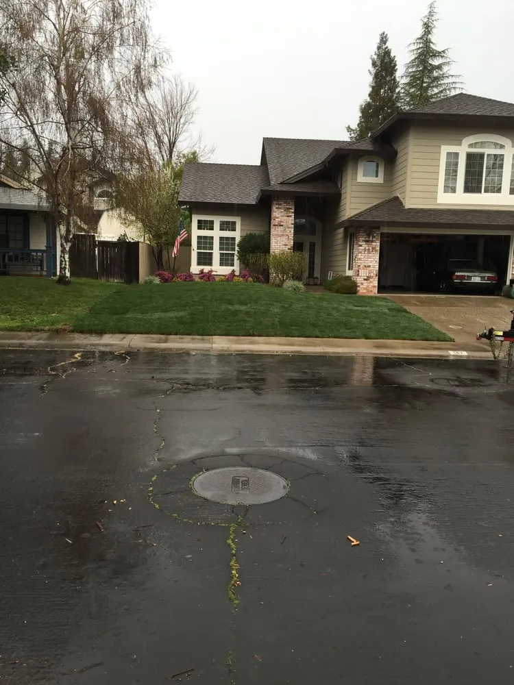 Reliable lawn mowing service for year-round maintenance in Antelope, CA by Cali's Finest Landscaping & Maintenance