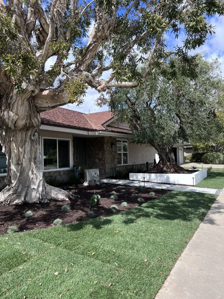 Affordable landscape design in Orange, CA by Caliscapes OC