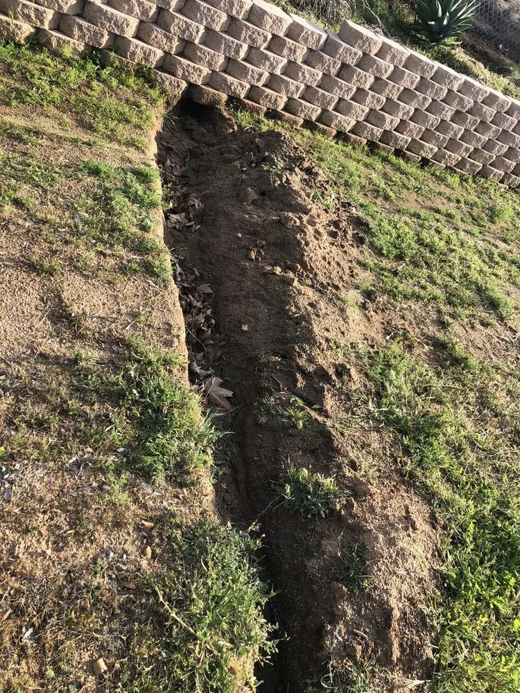 Top-rated lawn mowing service experts serving Riverside, CA - Caliscapes