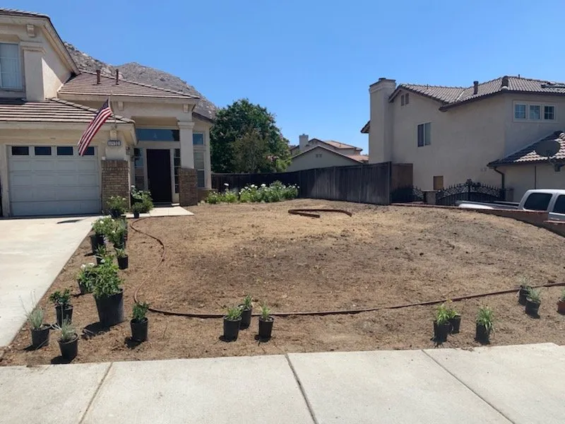 Local landscape installation experts serving Riverside, CA - Caliscapes