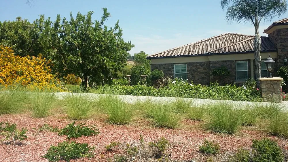 Local residential landscaping for year-round maintenance in Riverside, CA by Caliscapes
