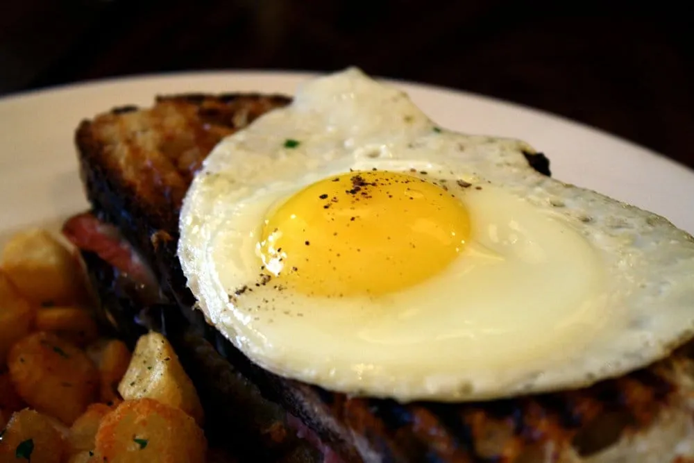 Custom yard cleanup service experts serving Oceanside, CA - Caliturf