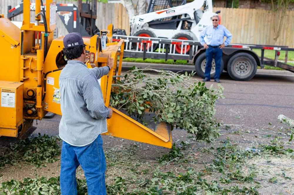 Trusted garden landscaping in Victoria, TX - Call Albert Landscaping