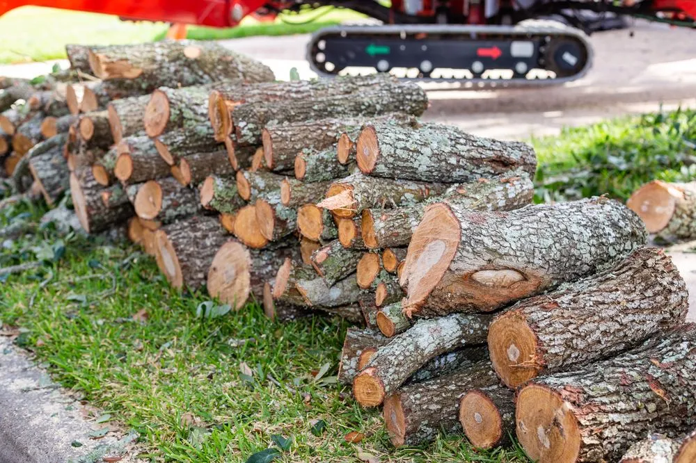 Expert garden landscaping with custom design across Victoria, TX - Call Albert Landscaping