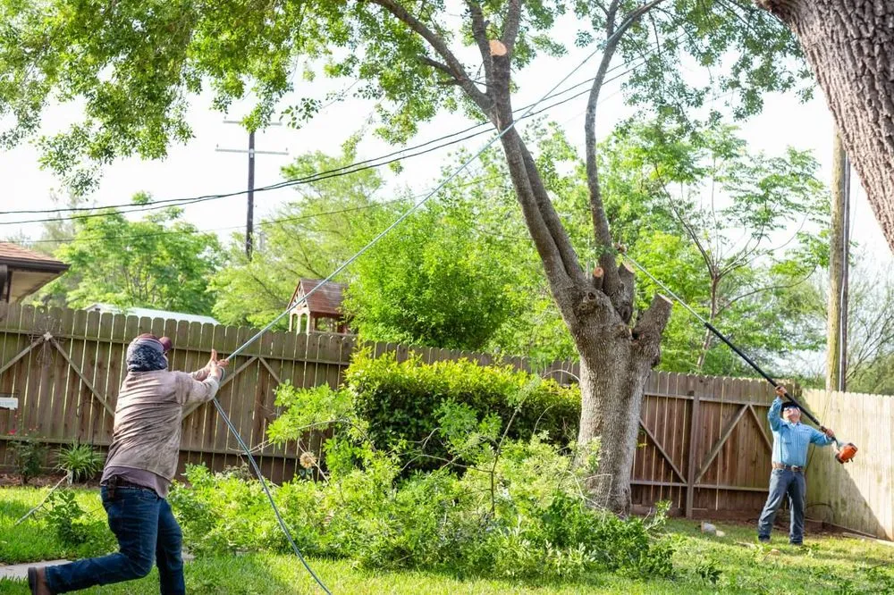 Trusted yard cleanup service for year-round maintenance in Victoria, TX by Call Albert Landscaping