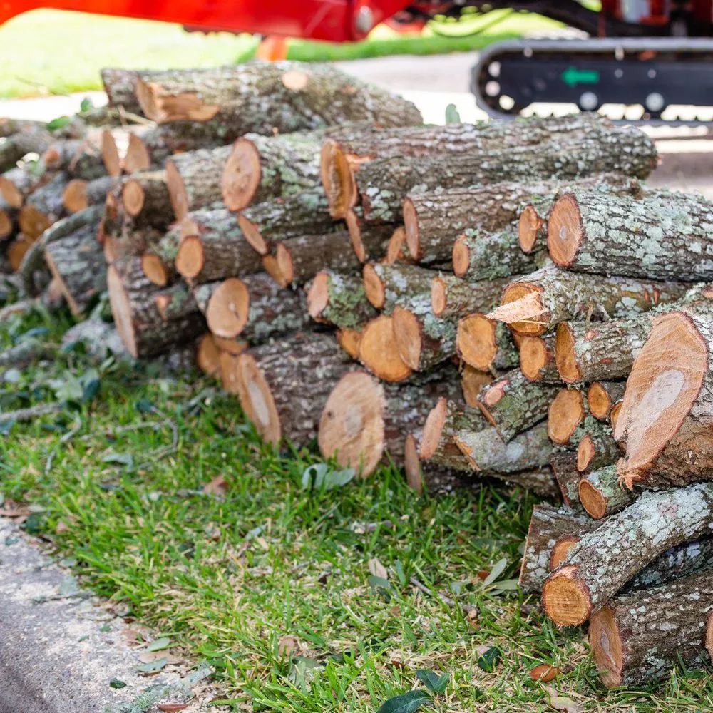 Custom landscaping services in Victoria, TX - Call Albert Landscaping