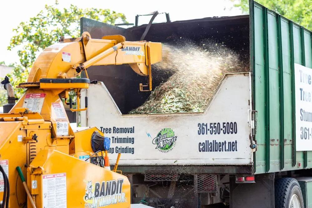 Expert yard maintenance for year-round maintenance in Victoria, TX by Call Albert Landscaping