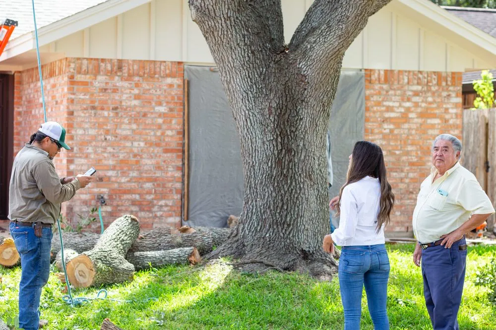 Expert landscape installation near you in Victoria, TX by Call Albert Landscaping