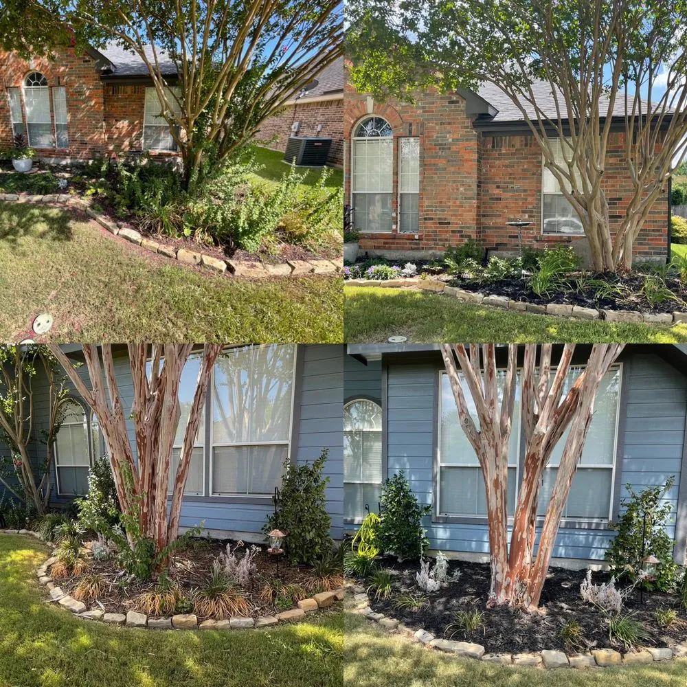 Custom landscaping services experts serving Fort Worth, TX - Call Dad