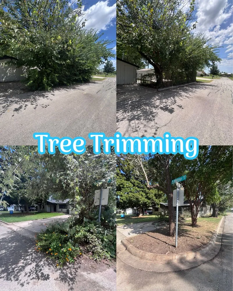 Expert landscape design for residential properties in Fort Worth, TX by Call Dad